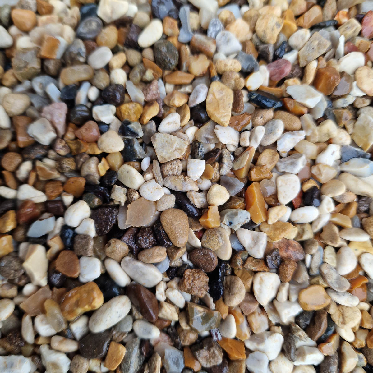 Alpine Gold Chippings Close Up