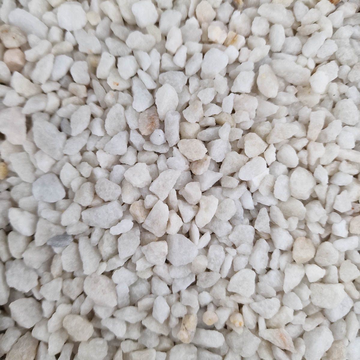 Alpine White Chippings Close Up