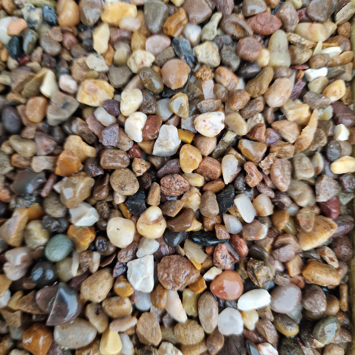 Close up of Horticultural Pea Gravel